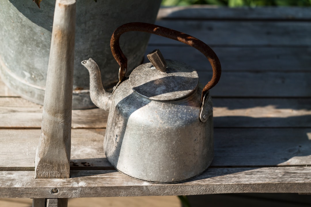 Top 10 Must-Have Garden Accessories for Every Gardener
