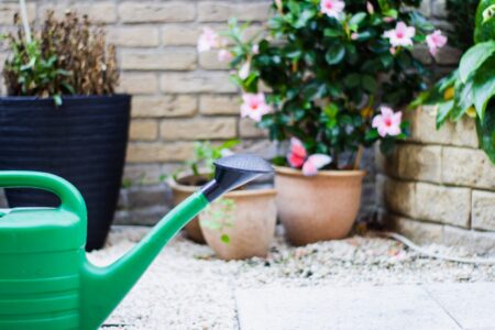 Discover the Best Tools for a Thriving Garden Environment