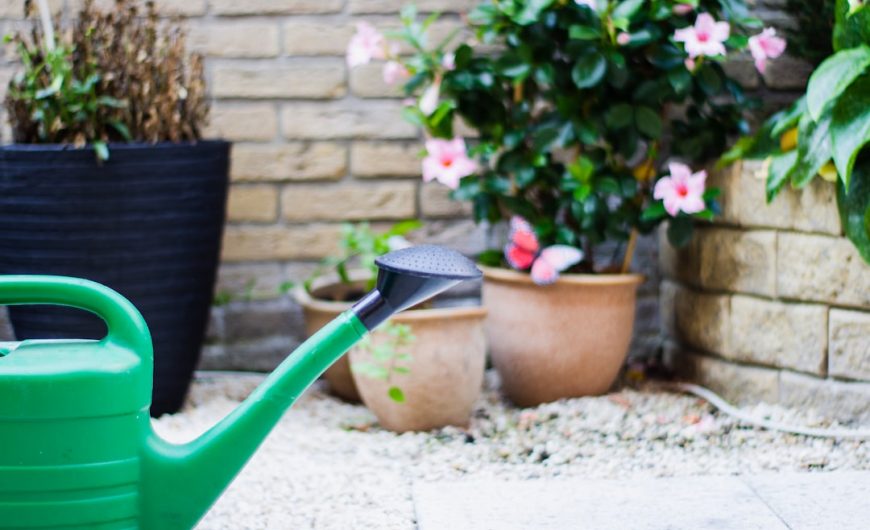 Discover the Best Tools for a Thriving Garden Environment
